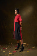 Camellia Tri-Color Panel Dress